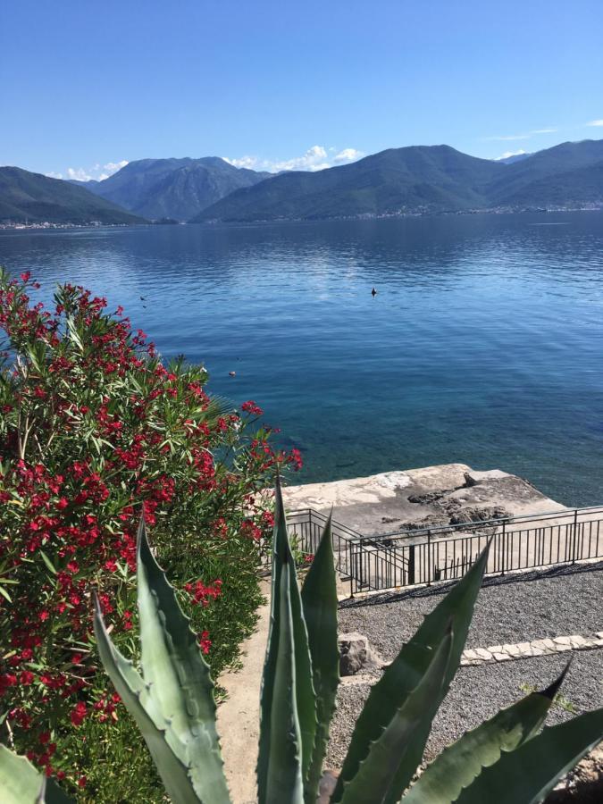 Apartment Tri Kiparisa Tivat Exteriér fotografie
